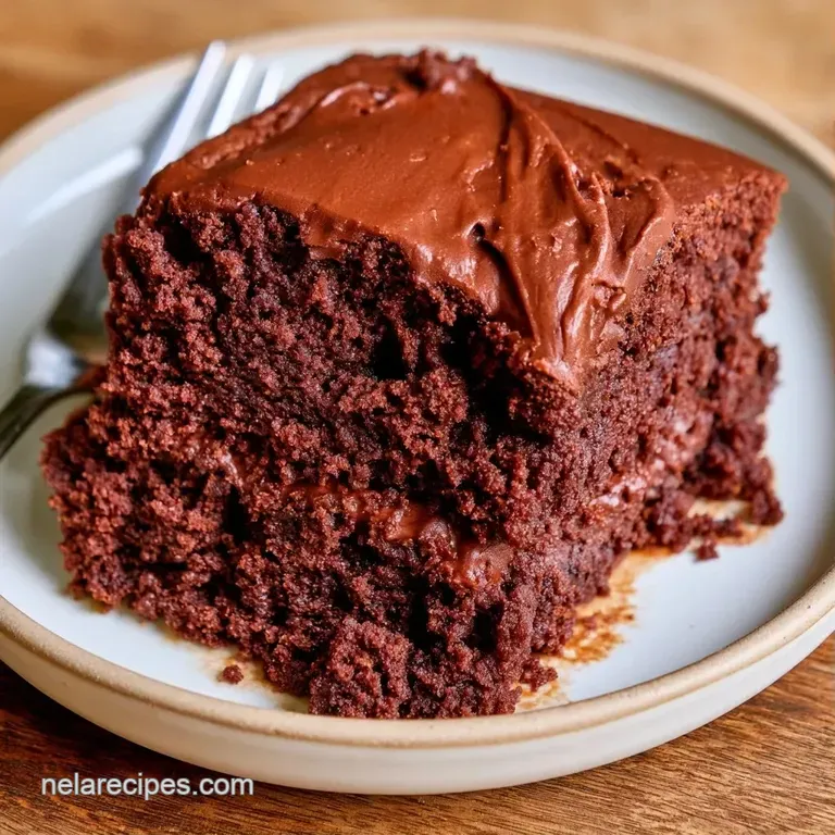 A slice of deep cocoa cake on a white ceramic plate, paired with fresh raspberries and a dollop of cream.